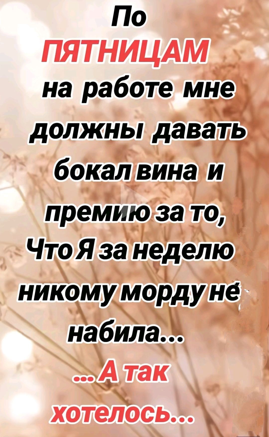 По ПЯТНИЦАМ на работе мне должны давать бокал вина и премию За то Й ЧтоЯза неделю никому морду не набила ЗА так хотелось