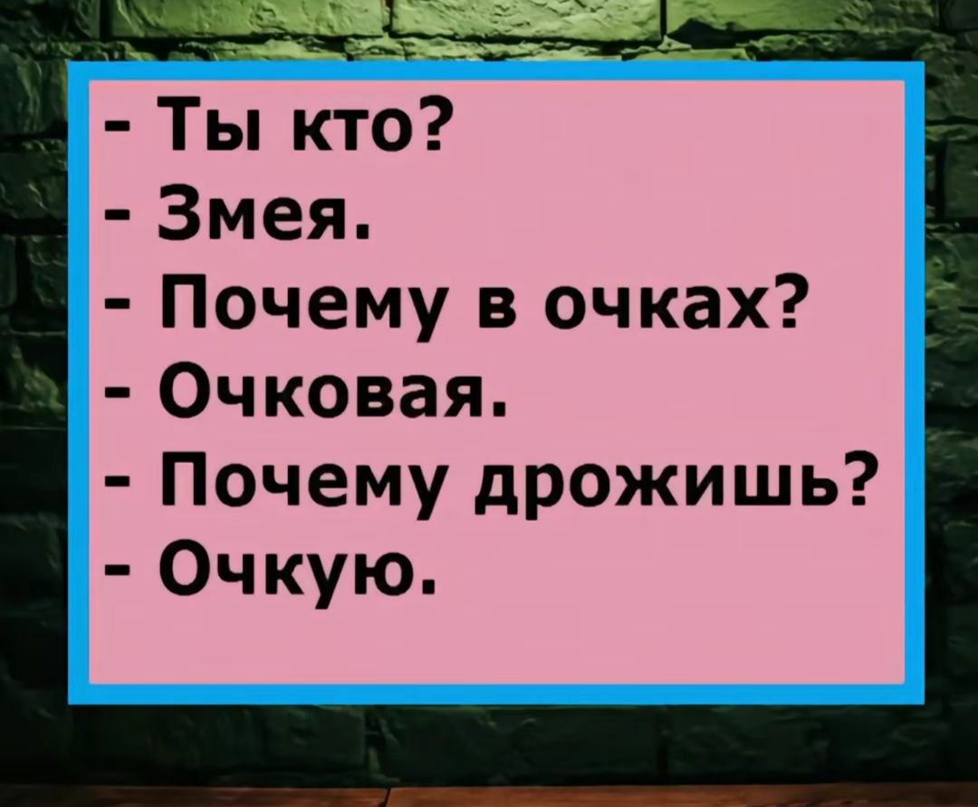 Ты кто Змея Почему в очках Очковая Почему дрожишь Очкую