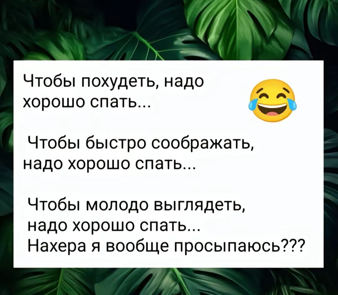 Чтобы похудеть надо хорошо спать 45е Чтобы быстро соображать надо хорошо спать Чтобы молодо выглядеть надо хорошо спать Нахера я вообще просыпаюсь