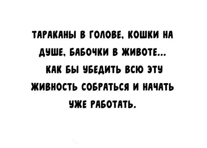 ТАРАКАНЫ В ГОЛОВЕ КОШКИ НА ДУШЕ БАБОЧКИ В ЖИВОТЕ КАК БЫ УБЕДИТЬ ВСЮ ЭТУ ЖИВНОСТЬ СОБРАТЬСЯ И НАЧАТЬ УЖЕ РАБОТАТЬ