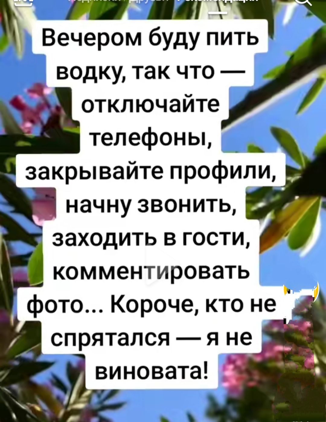 щ Ва Ч Вечером буду пить водку так что отключайте телефоны закрывайте профили начну звонить заходить в гости комментировать фото Короче кто не Е спрятался я не виновата