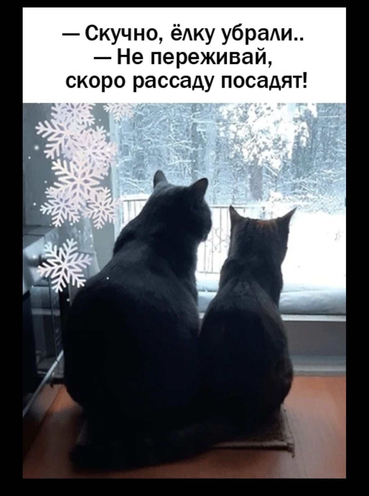 — Скучно, ёлку убрали.. — Не переживай, скоро рассаду посадят!