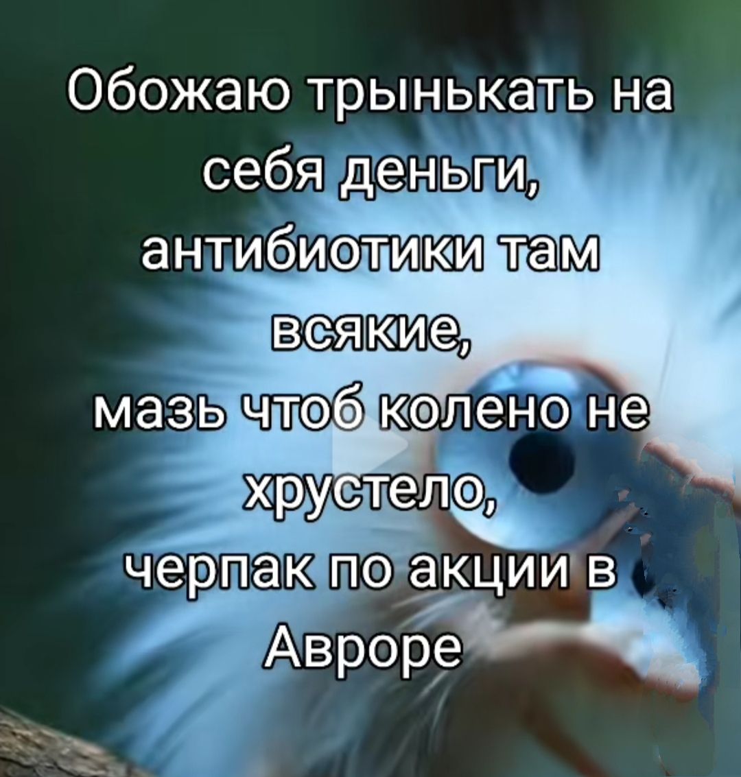 Обожаю трынькать на себя деньги, антибиотики там всякие, мазь чтоб колено не хрустело, черпак по акции в Авроре
