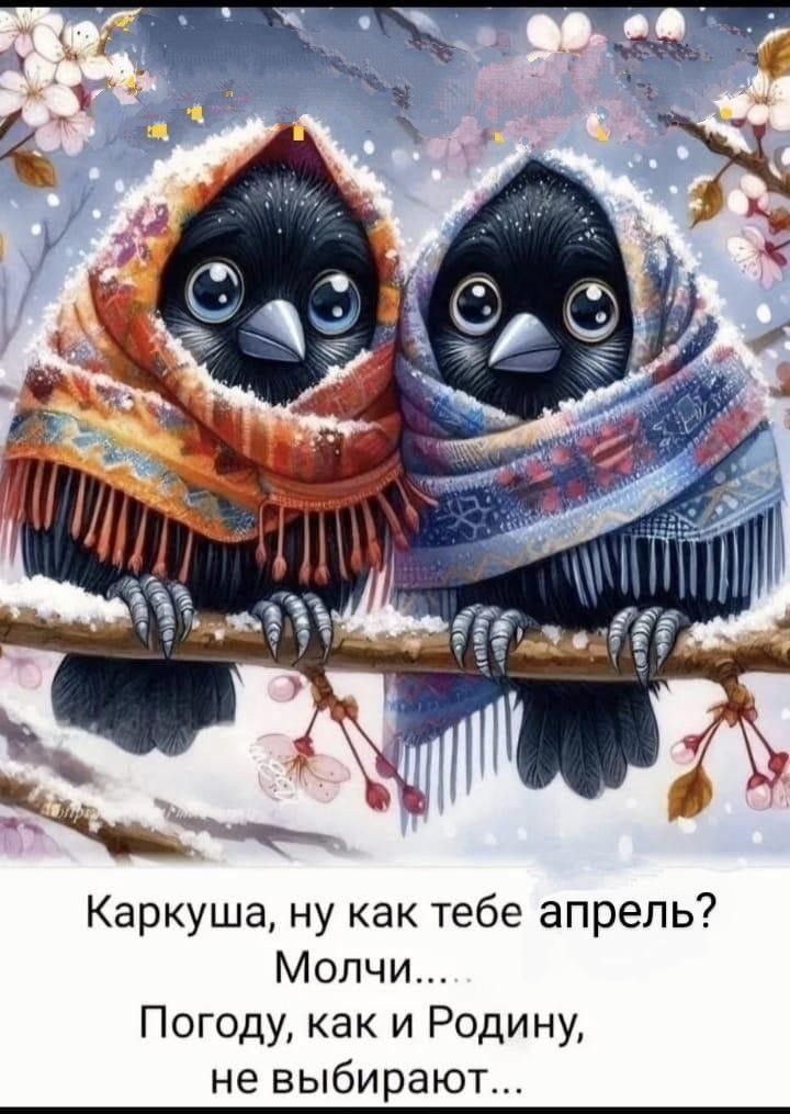 Каркуша, ну как тебе апрель? Молчи..... Погоде, как и Родину, не выбирают...