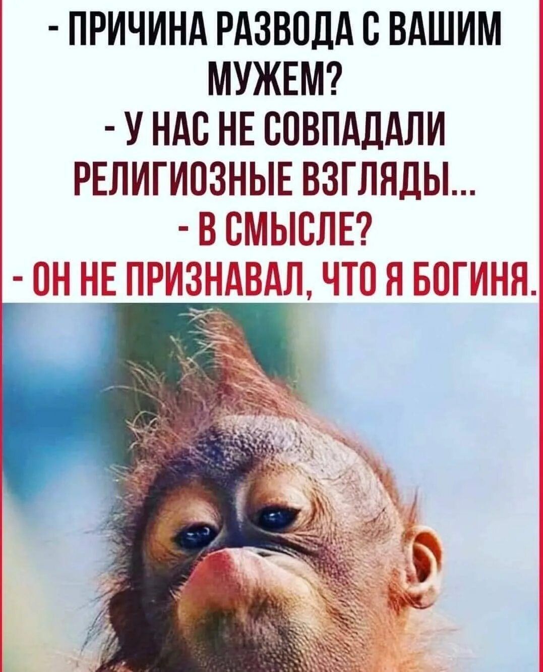 - ПРИЧИНА РАЗВОДА С ВАШИМ МУЖЕМ?
- У НАС НЕ СОВПАДАЛИ РЕЛИГИОЗНЫЕ ВЗГЛЯДЫ...
- В СМЫСЛЕ?
- ОН НЕ ПРИЗНАВАЛ, ЧТО Я БОГИНЯ.