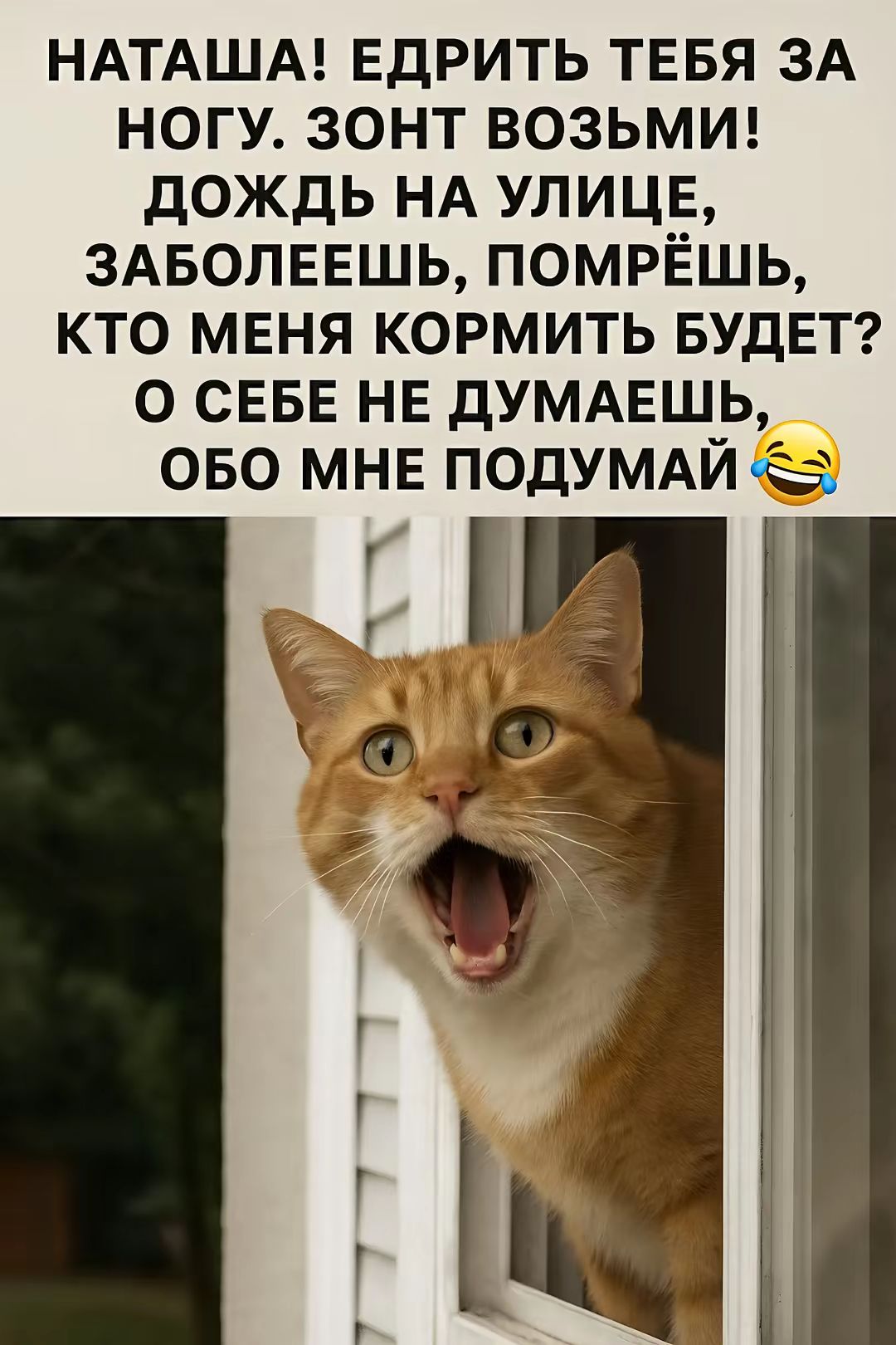 НАТАША! ЕДРИТЬ ТЕБЯ ЗА НОГУ. ЗОНТ ВЗЯЬ! ДОЖДЬ НА УЛИЦЕ, ЗАБОЛЕЕШЬ, ПОМРЁШЬ, КТО МЕНЯ КОРМИТЬ БУДЕТ? О СЕБЕ НЕ ДУМАЕШЬ, ОБО МНЕ ПОДУМАЙ 😂