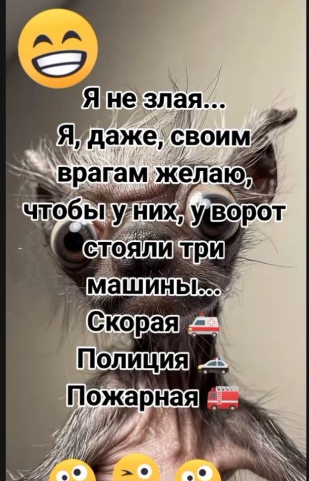 Я не злая... Я, даже, своим врагам желаю, чтобы у них, у ворот стояли три машины... Скоряя Полиция Пожарная