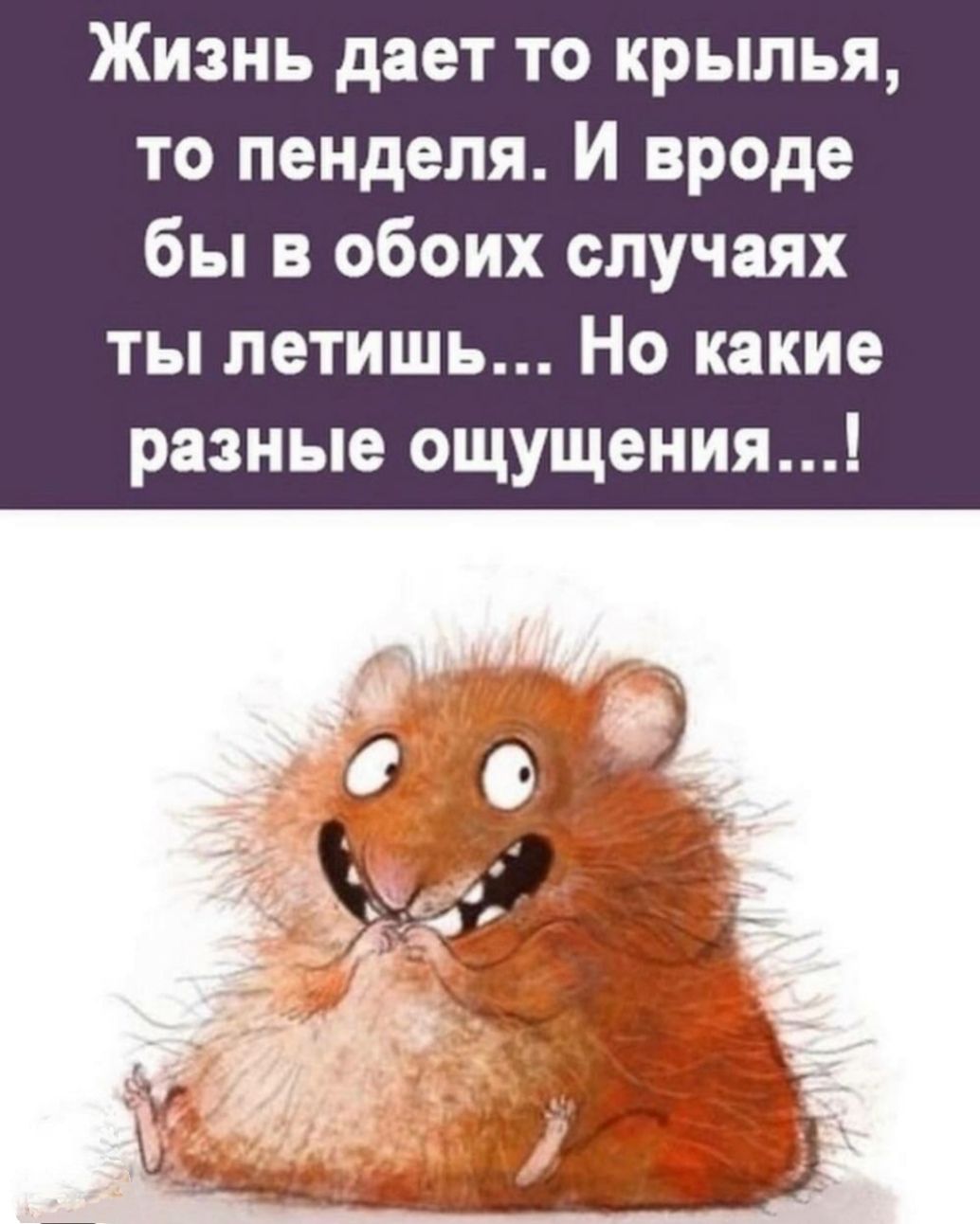 Жизнь даёт то крылья, то пендера. И вроде бы в обоих случаях ты летишь... Но какие разные ощущения...!