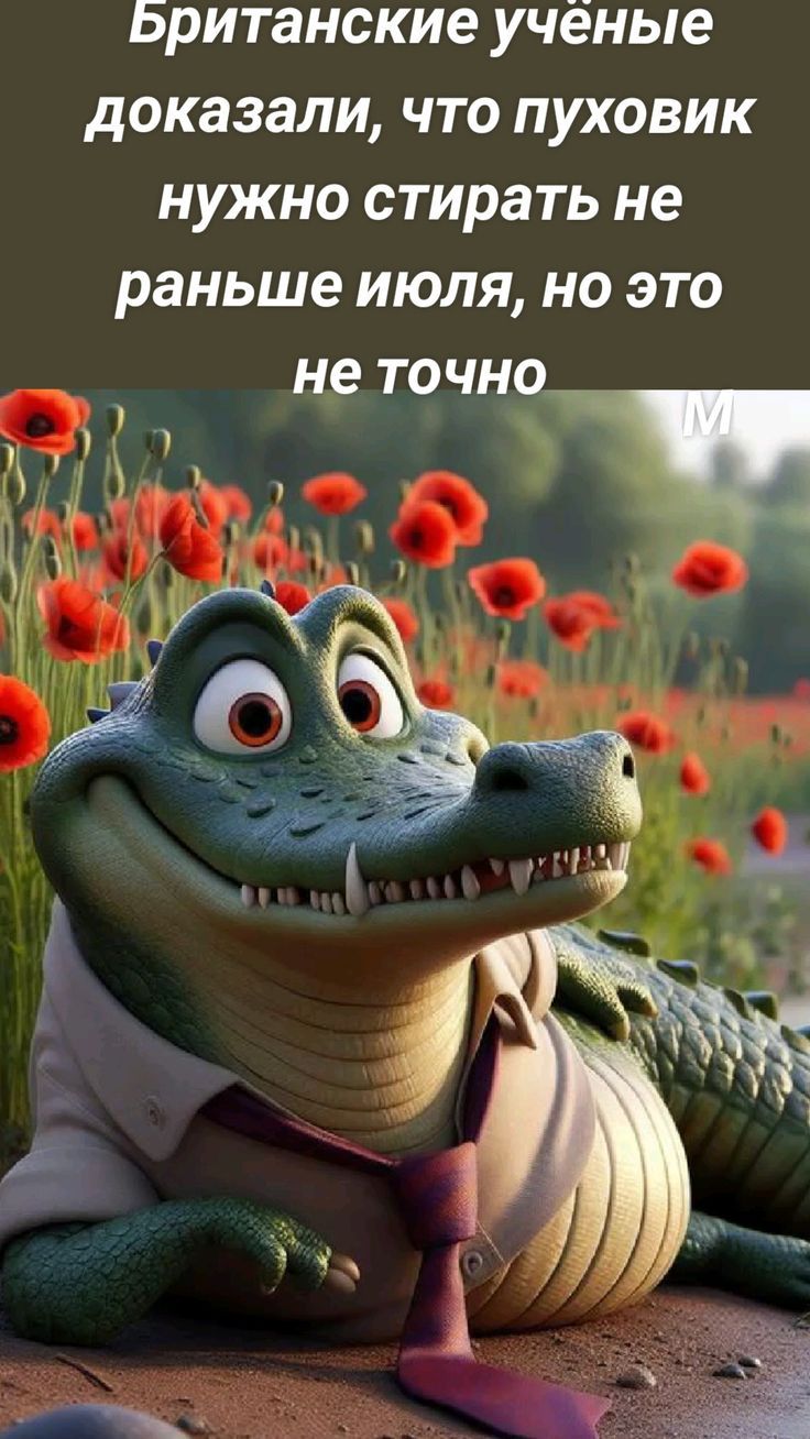 Британские учёные доказали, что пуховик нужно стирать не раньше июля, но это не точно