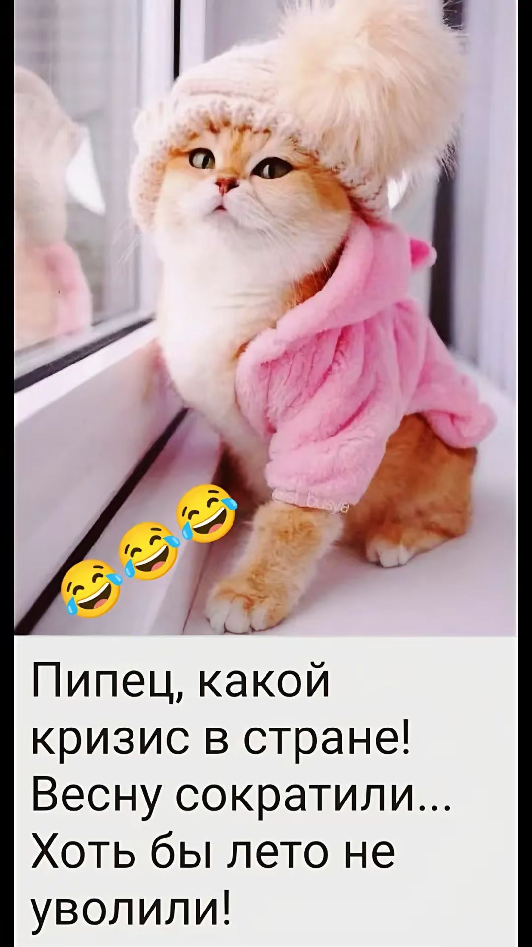 Пипец, какой кризис в стране! Весну сократили... Хоть бы лето не уволили!