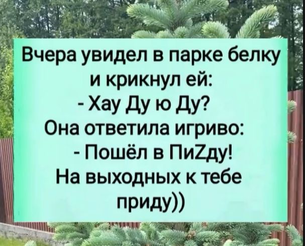 Вчера увидел в парке белку и крикнул ей:
- Хау ДУ ю ДУ?
Она ответила игриво:
- Пошёл в Пизду!
На выходных к тебе приду))