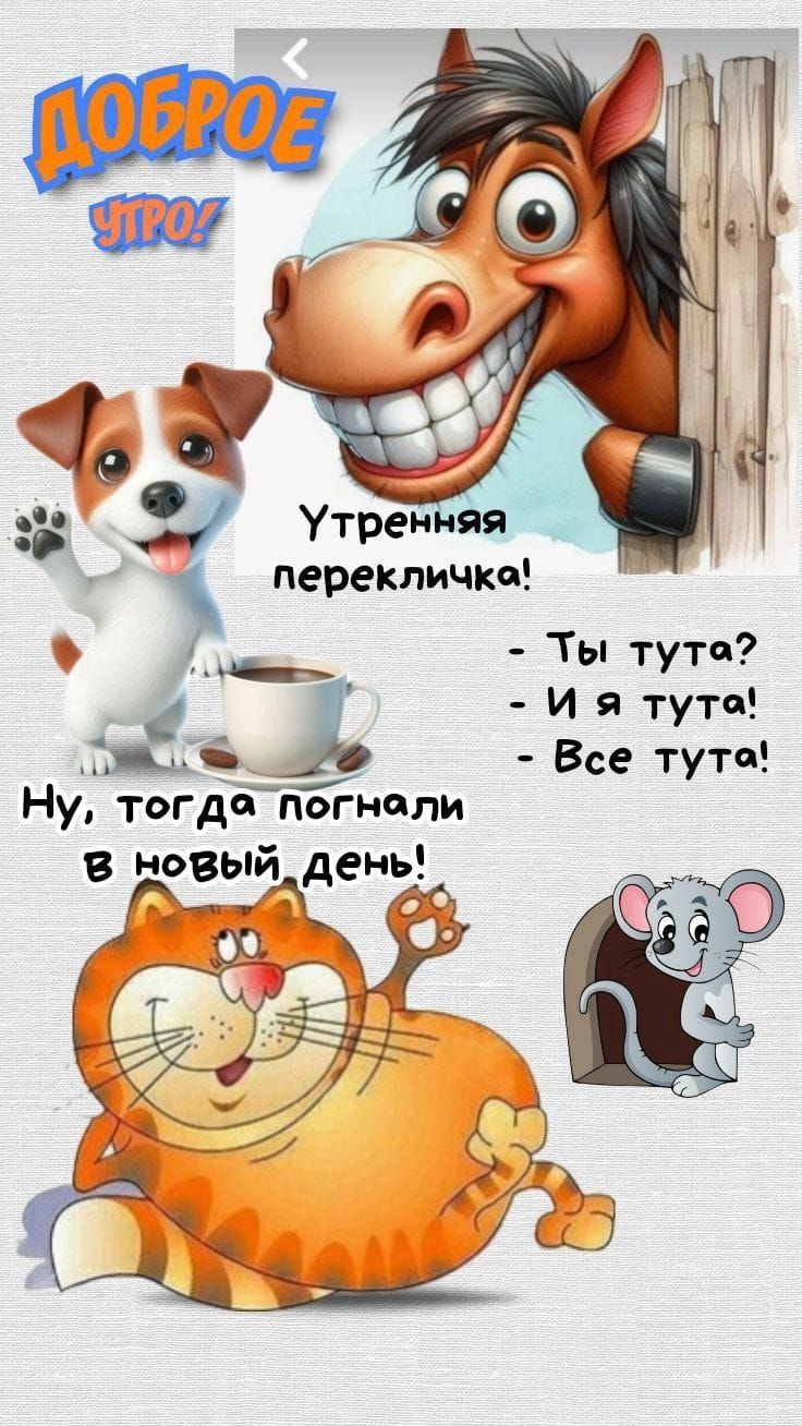 ДОБРОЕ УТРО! Утреняя перекличка! - Ты тут? - И я тут! - Все тут! Ну, тогда погнали в новый день!