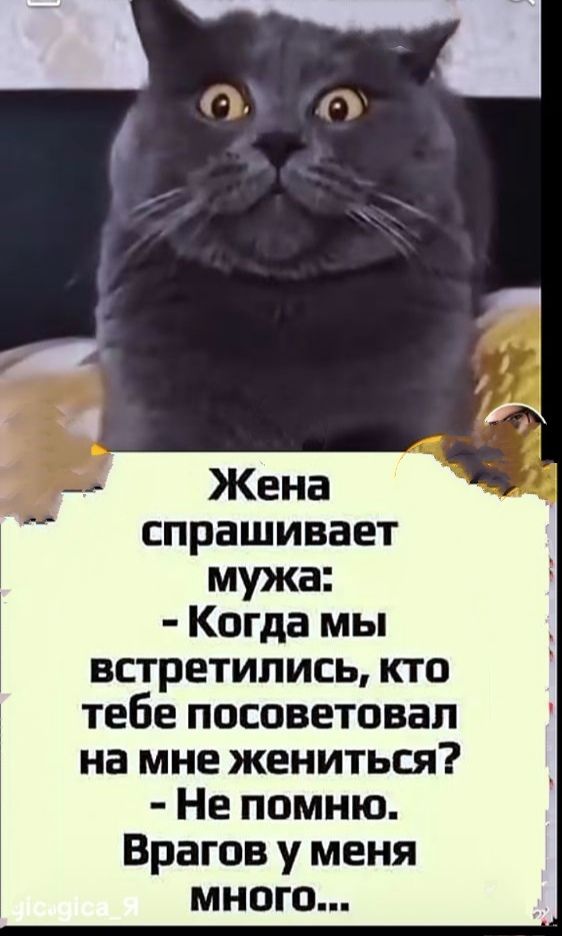 Жена спрашивает мужа:
- Когда мы встретились, кто тебе посоветовал на мне жениться?
- Не помню.
Врагов у меня много...