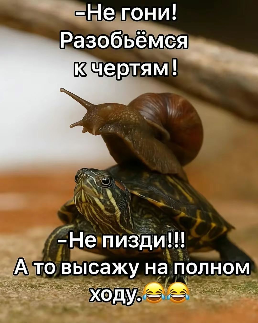 -Не гони! Разобьёмся к чертям!
-Не пизди!!! А то высажу на полном ходу. 😄😄