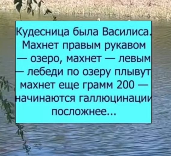 Кудесница была Василиса. Махнет правым рукавом — озеро, махнет — левым — лебеди по озеру плывут. Махнет еще грамм 200 — начинаются галлюцинации посложнее...