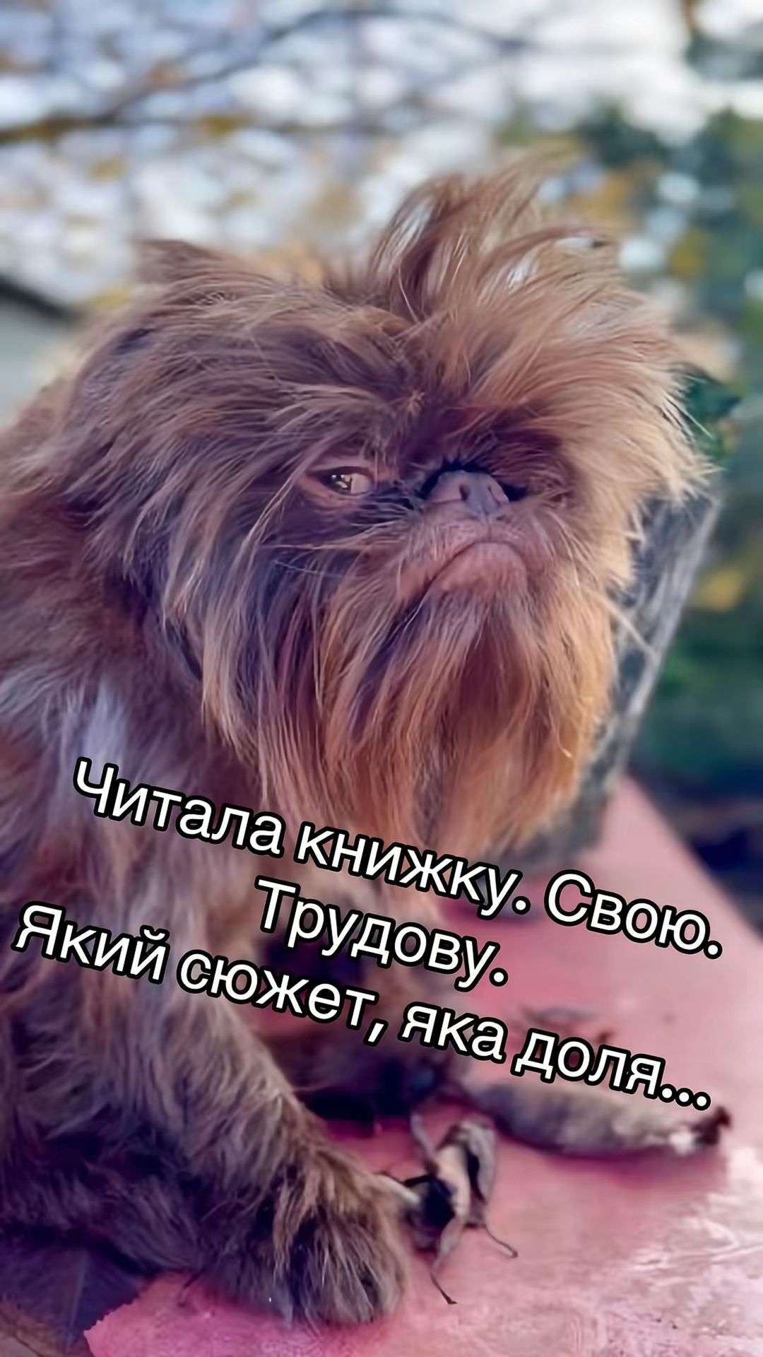 Читала книжку. Свою. Трудову. Який сюжет, яка доля...