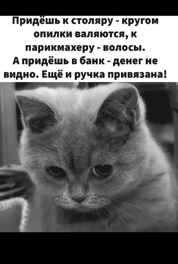 Приём к столяру - кругом опилки валяются, к парикмахеру - волосы. А придёшь в банк - денег не видно. Ещё и ручка привязана!