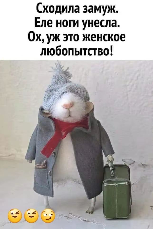 Сходила замуж. Еле ноги унесла. Ох, уж это женское любопытство!