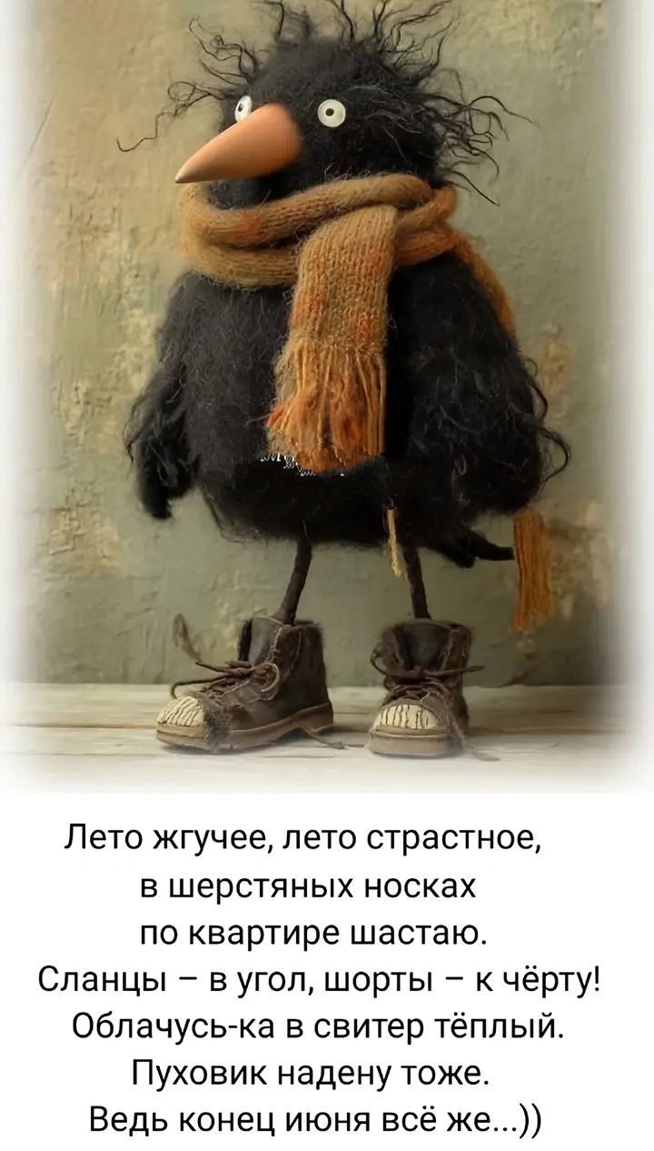 Лето жгучее, лето страстное,
в шерстяных носках
по квартире шастаю.
Сланцы – в угол, шорты – к чёрту!
Облачусь-ка в свитер тёплый.
Пуховик надену тоже.
Ведь конец июня всё же...))