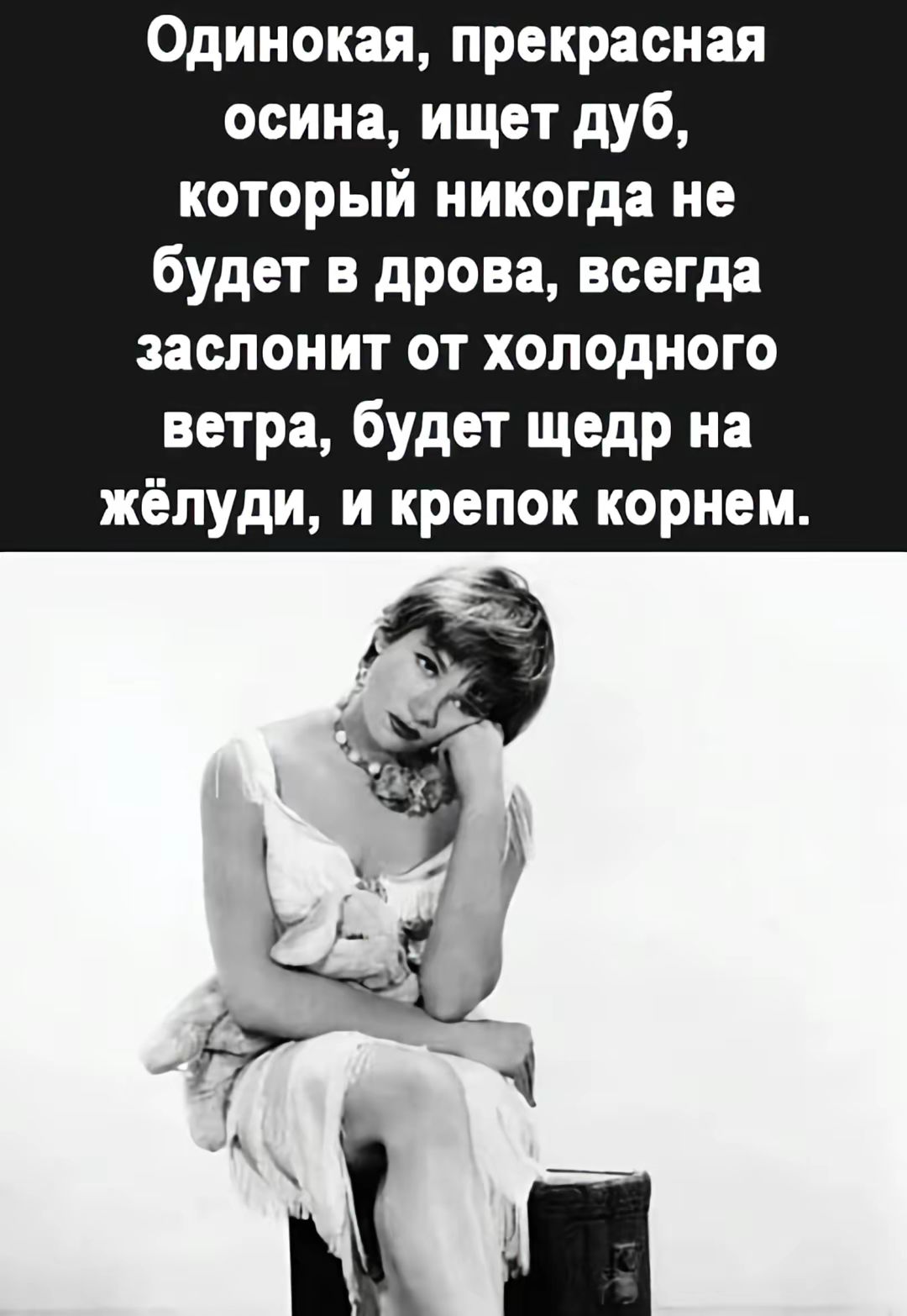 Одинокая, прекрасная осина, ищет дуб, который никогда не будет в дрова, всегда заслонит от холодного ветра, будет щедр на жёлуди, и крепок корнем.