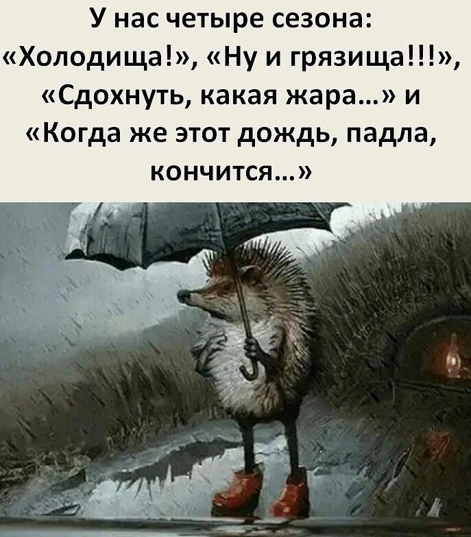 У нас четыре сезона: «Холодища!», «Ну и грязища!!!», «Сдохнуть, какая жара...» и «Когда же этот дождь, падла, кончится...»