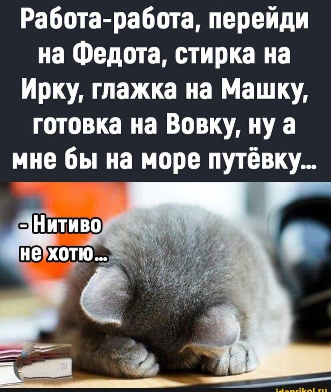 Работа-работа, перейди на Федота, стирка на Ирку, глажка на Машку, готовка на Вовку, ну а мне бы на море путёвку...
- Нитиво не хочю...