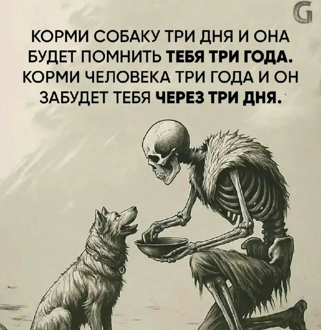 КОРМИ СОБАКУ ТРИ ДНЯ И ОНА БУДЕТ ПОМНИТЬ ТЕБЯ ТРИ ГОДА. КОРМИ ЧЕЛОВЕКА ТРИ ГОДА И ОН ЗАБУДЕТ ТЕБЯ ЧЕРЕЗ ТРИ ДНЯ.