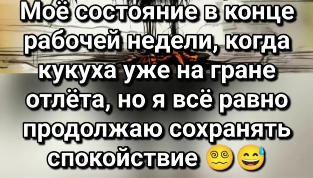 Моё состояние в конце рабочей недели, когда кукуха уже на гране отлёта, но я всё равно продолжаю сохранять спокойствие 😊😄
