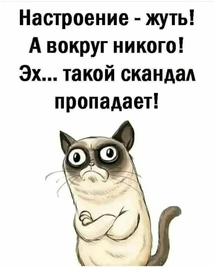 Настроение - жуть! А вокруг никого! Эх... такой скандал пропадает!