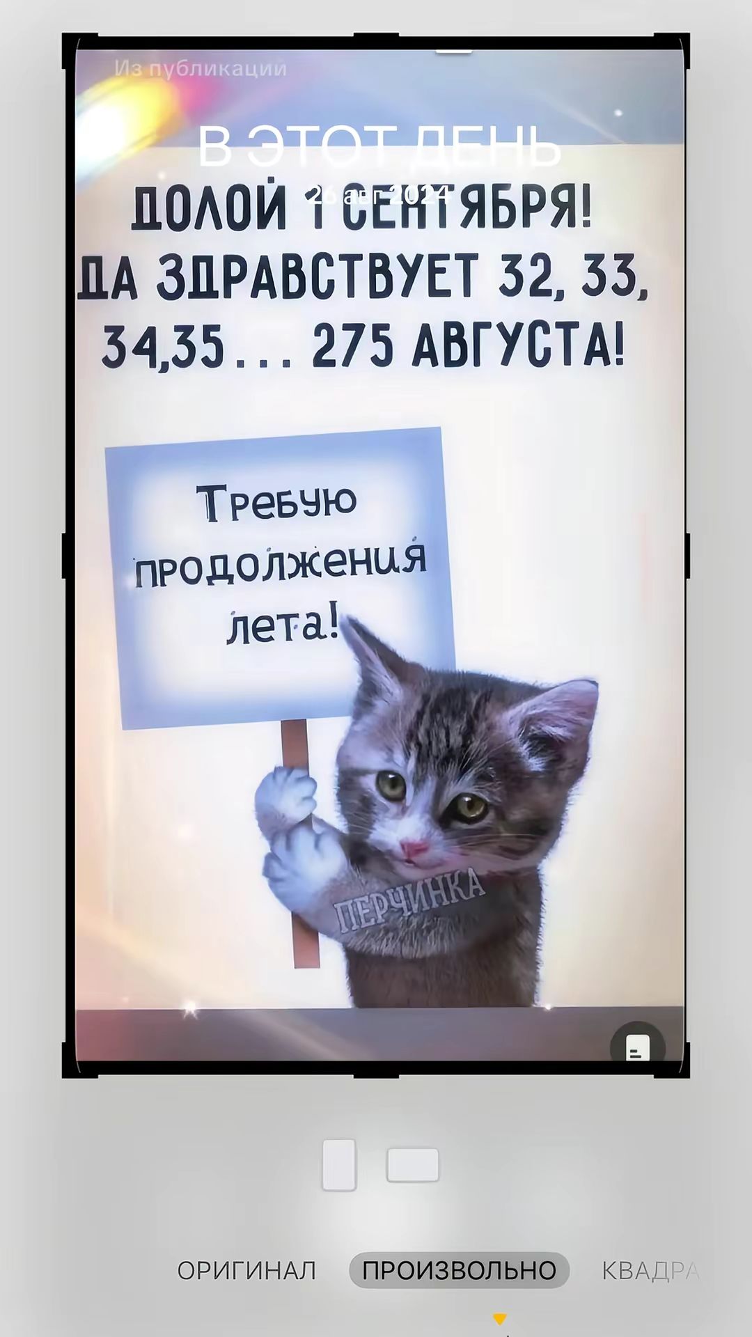 В этот день

Долой 1 Сентября! Да здравствует 32, 33, 34, 35... 275 августа!

Требую продолжения лета!