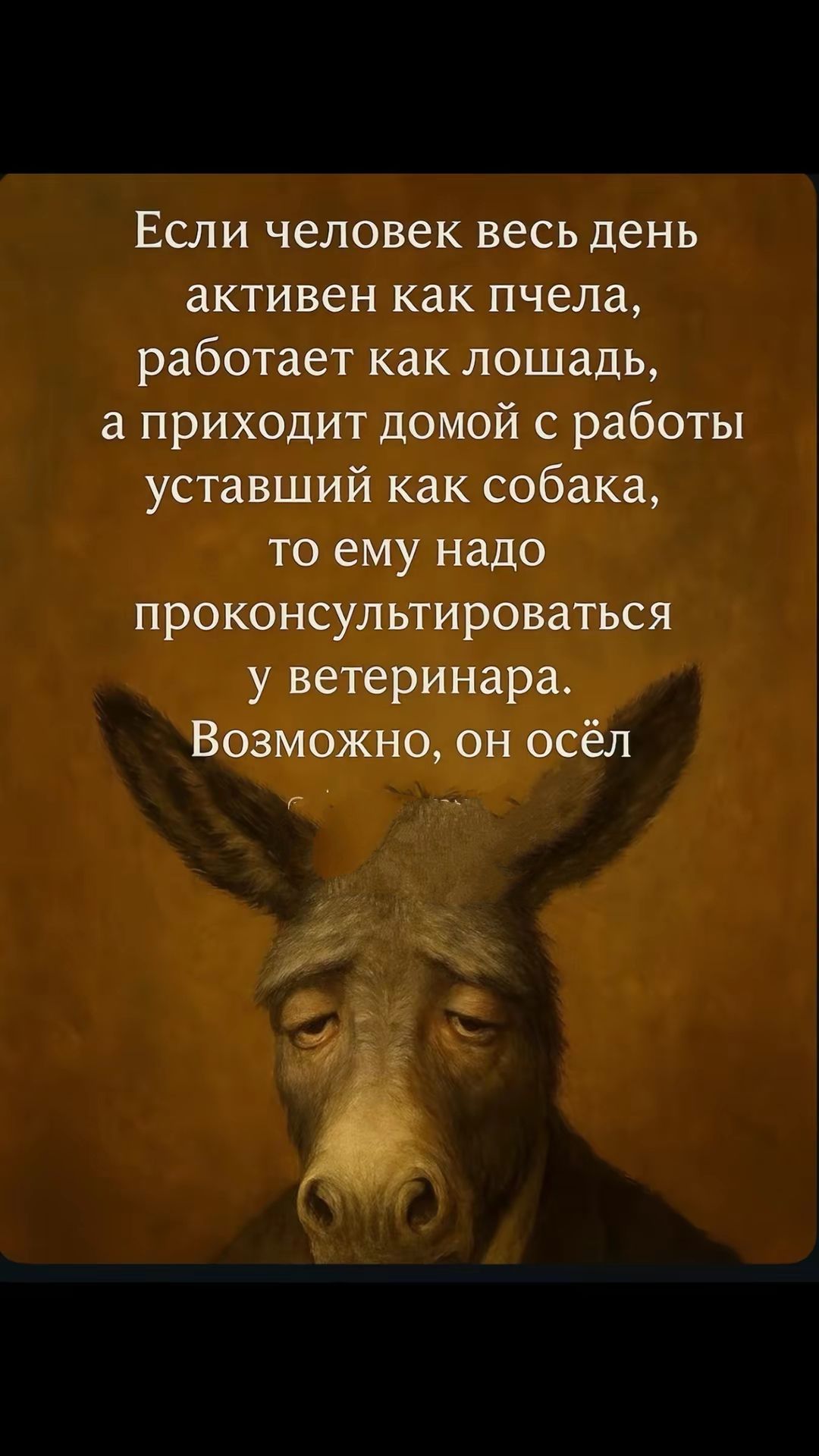 Если человек весь день активен как пчела, работает как лошадь, а приходит домой с работы уставший как собака, то ему надо проконсультироваться у ветеринара. Возможно, он осёл.