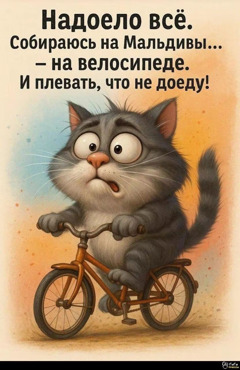 Надоело всё. Собираюсь на Мальдивы... – на велосипеде. И плевать, что не доеду!