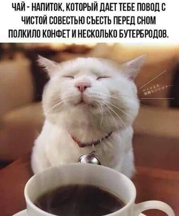 ЧАЙ - НАПИТОК, КОТОРЫЙ ДАЕТ ТЕБЕ ПОВОД С ЧИСТОЙ СОВЕСТЬЮ СЪЕСТЬ ПЕРЕД СНОМ ПОЛКИЛО КОНФЕТ И НЕСКОЛЬКО БУТЕРБРОДОВ.
