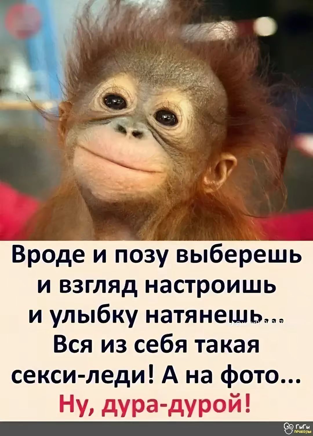 Вроде и позу выберешь и взгляд настроишь и улыбку натянешь... Вся из себя такая секси-леди! А на фото... Ну, дура-дурой!