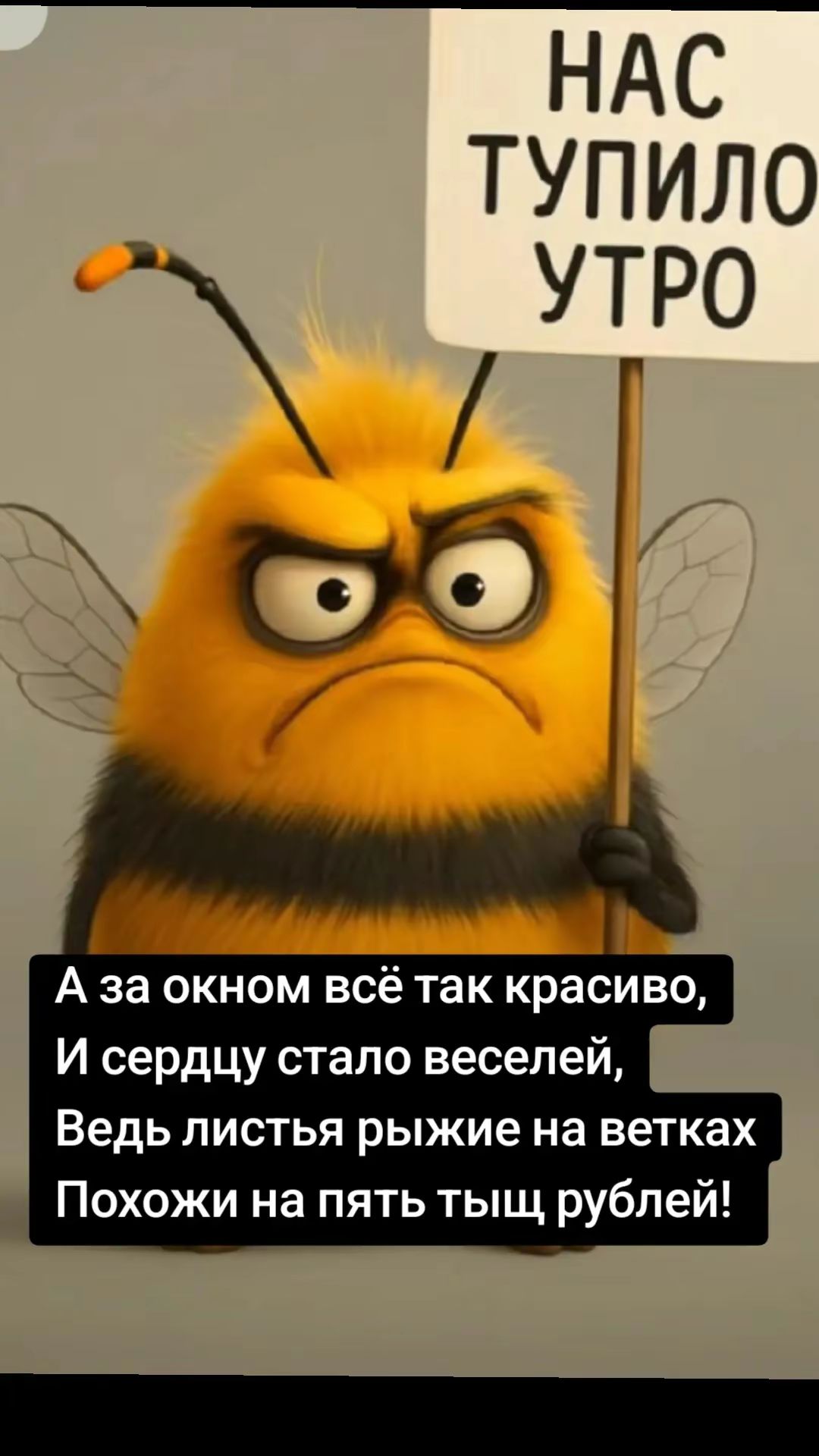НАС ТУПИЛО УТРО
А за окном всё так красиво,
И сердцу стало веселее,
Ведь листья рыжие на ветках
Похожи на пять тыщ рублей!
