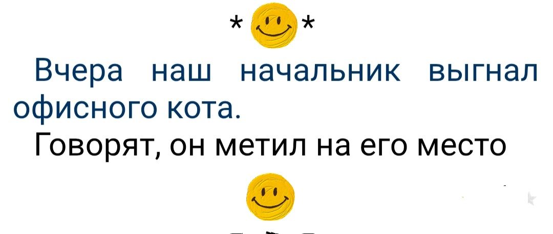 Вчера наш начальник выгнал офисного кота. Говорят, он метил на его место
