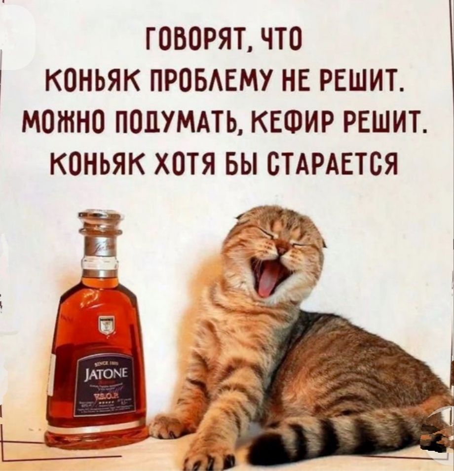 ГОВОРЯТ, ЧТО КОНЬЯК ПРОБЛЕМУ НЕ РЕШИТ. МОЖНО ПОДУМАТЬ, КЕФИР РЕШИТ. КОНЬЯК ХОТЯ БЫ СТАРАЕТСЯ.