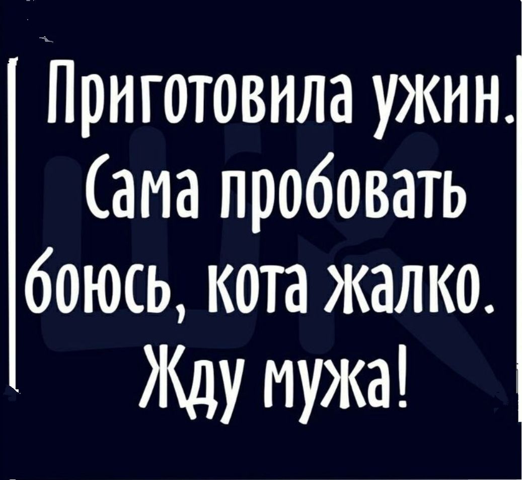 Приготовила ужин. Сама пробовать боюсь, кота жалко. Жду мужа!