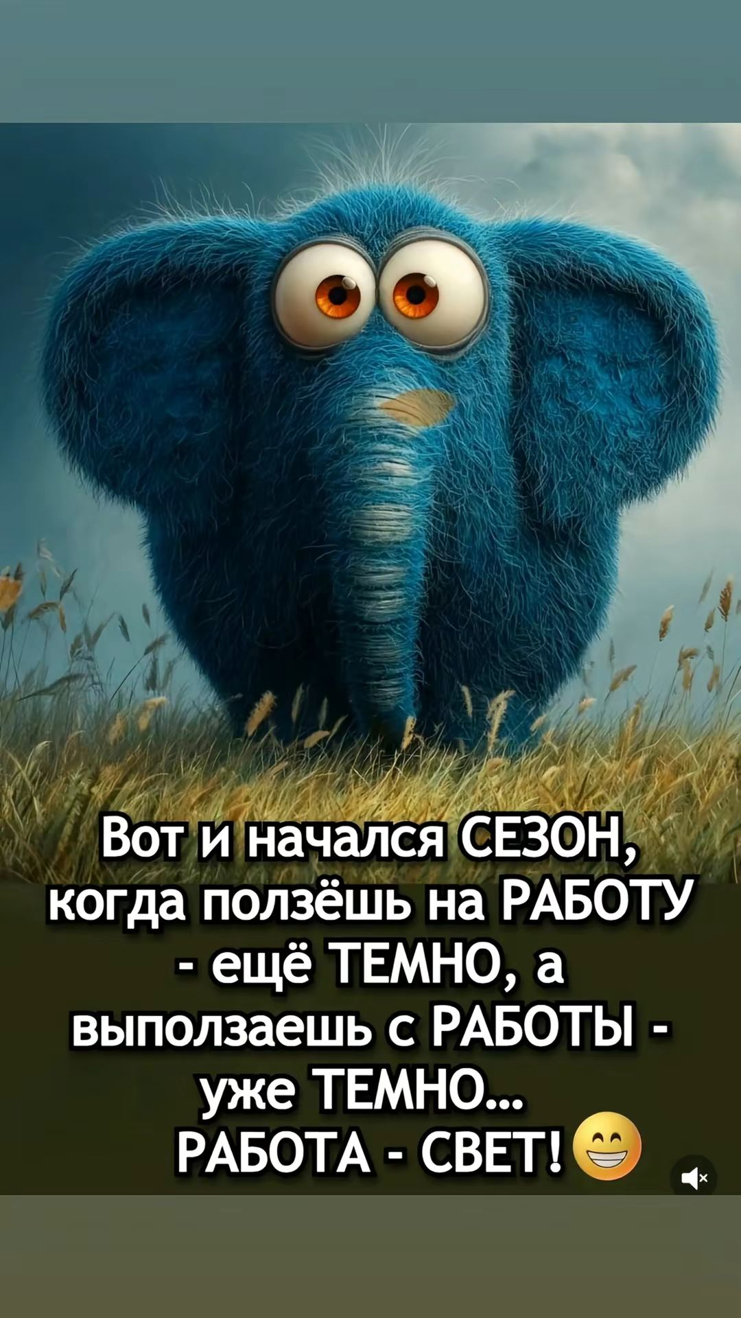Вот и начался СЕЗОН, когда пользёшь на РАБОТУ - ещё ТЕМНО, а выползаешь с РАБОТЫ - уже ТЕМНО... РАБОТА - СВЕТ! 🙂