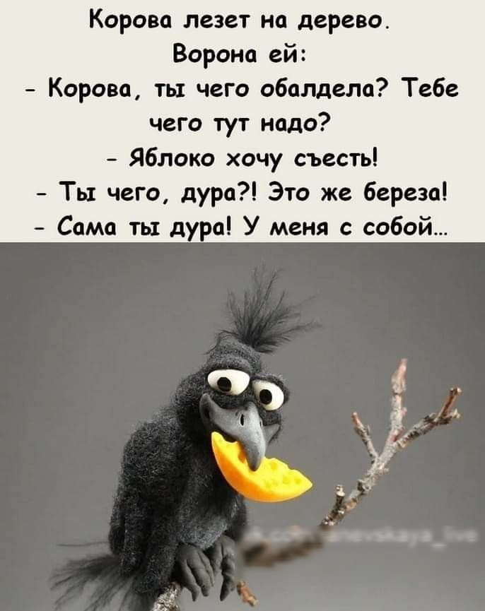 Корова лезет на дерево.
Ворона ей:
- Корова, ты чего обалдела? Тебе чего тут надо?
- Яблоко хочу съесть!
- Ты чего, дура?! Это же береза!
- Сама ты дура! У меня с собой...