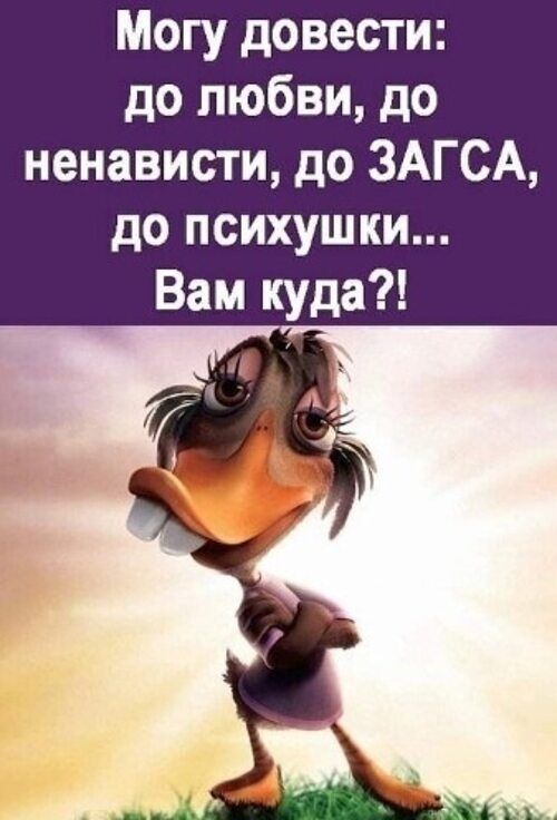 Могу довести: до любви, до ненависти, до ЗАГСА, до психушки... Вам куда?!