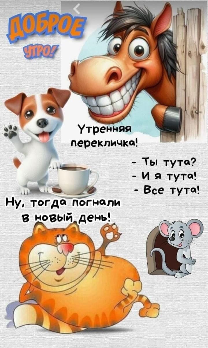 ДОБРОЕ УТРО! Утреняя перекличка! - Ты тут? - И я тут! - Все тут! Ну, тогда погнали в новый день!