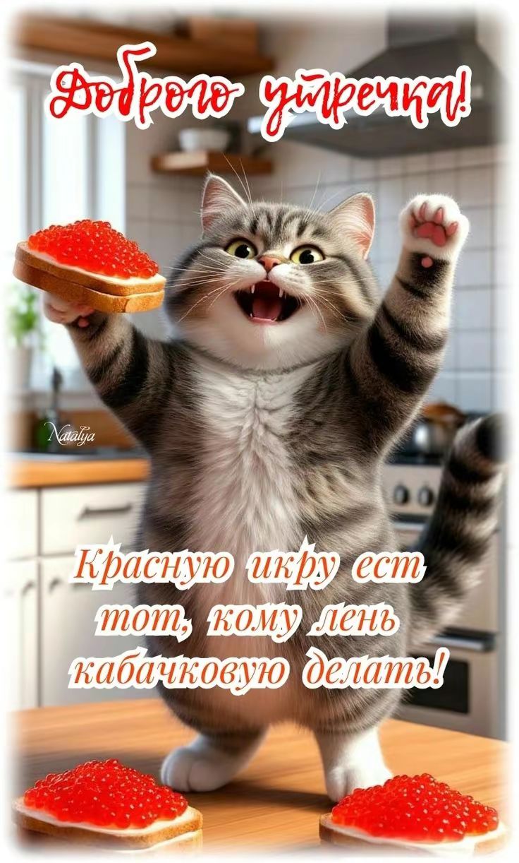 Доброю утречка! Красную икру есть тот, кому день кабачковую делать!