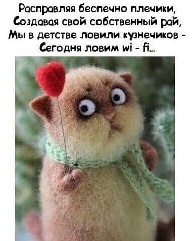 Расправляя беспечно плечики, Создавая свой собственный рай, Мы в детстве ловили кузнечиков - Сегодня ловим wi - fi...