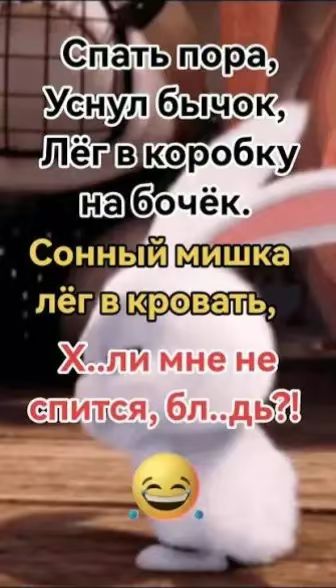 Спать пора, Уснул бычок, Лёг в коробку на бочёк. Сонный мишка лёг в кровать, Х..ли мне не спится, бл..дь?!