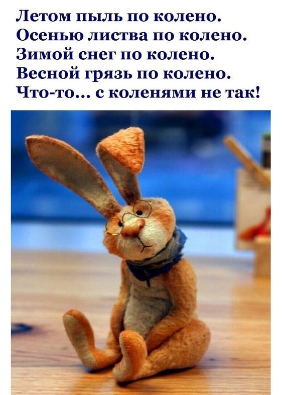 Летом пыль по колено. Осенью листья по колено. Зимой снег по колено. Весной грязь по колено. Что-то... с коленями не так!