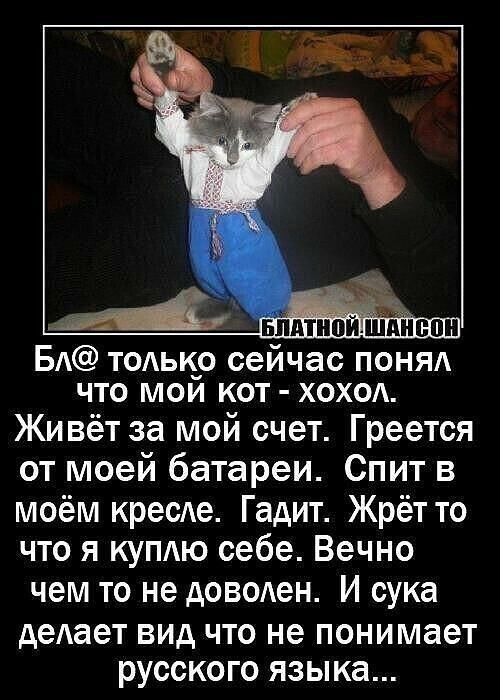 Блатной шансон
Блять только сейчас понял что мой кот - хохол. Живёт за мой счёт. Греется от моей батареи. Спит в моём кресле. Гадит. Жрёт то что я куплю себе. Вечно чем то не доволен. И сука делает вид что не понимает русского языка...