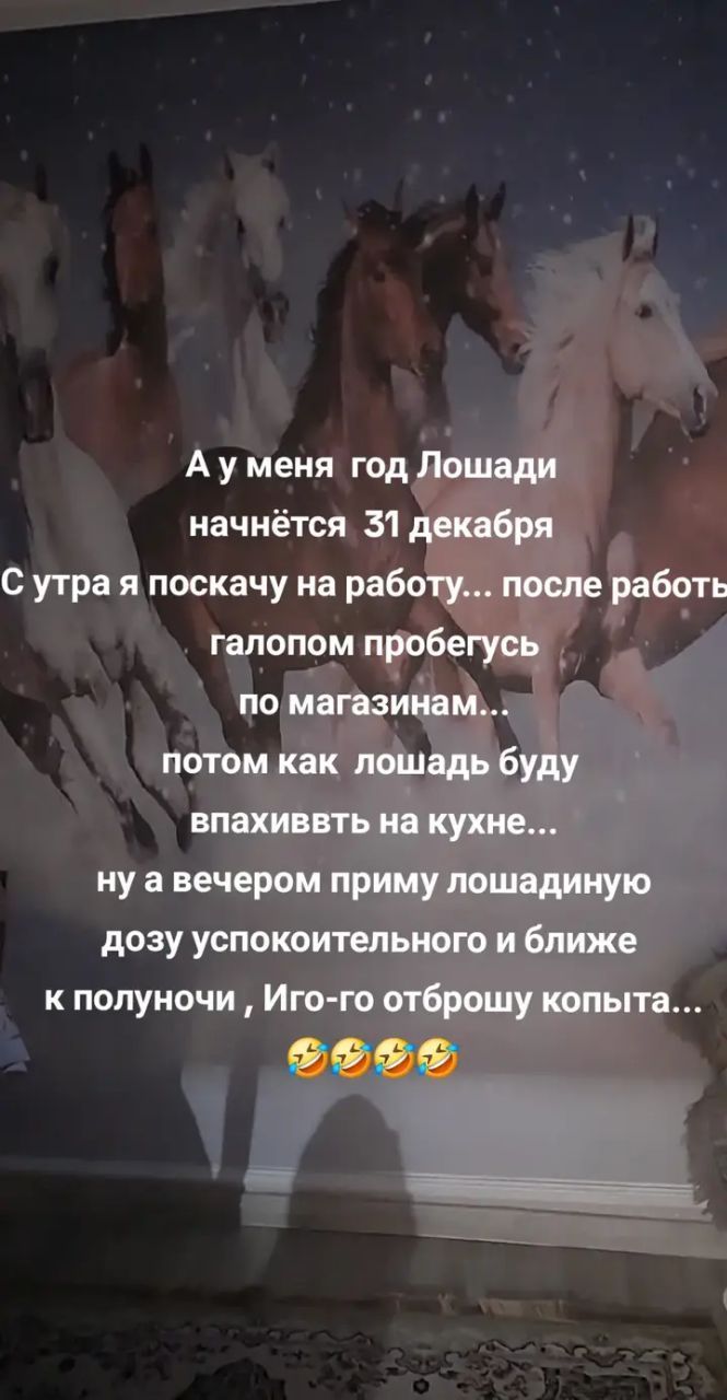 А у меня год Лошади начнётся 31 декабря
С утра я поскачу на работу... после работы галопом пробегусь по магазинам...
потом как лошадь буду впаxиввь на кухне... ну а вечером приму лошадиную дозу успокоительного и ближе к полуночи, Иго-го отбршу копыта...