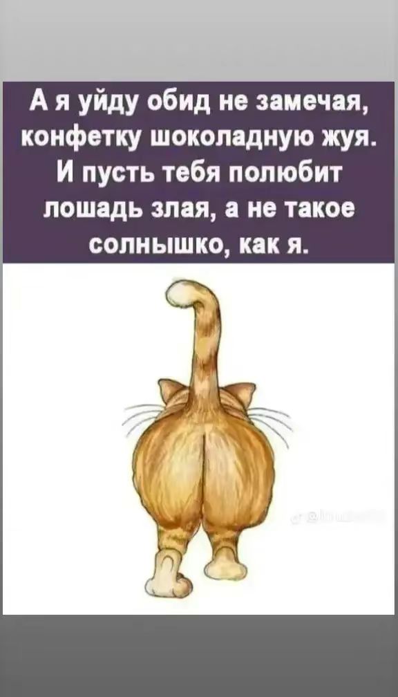 А я уйду обид не замечая, конфетку шоколадную жуя. И пусть тебя полюбит лошадь злая, а не такое солнышко, как я.