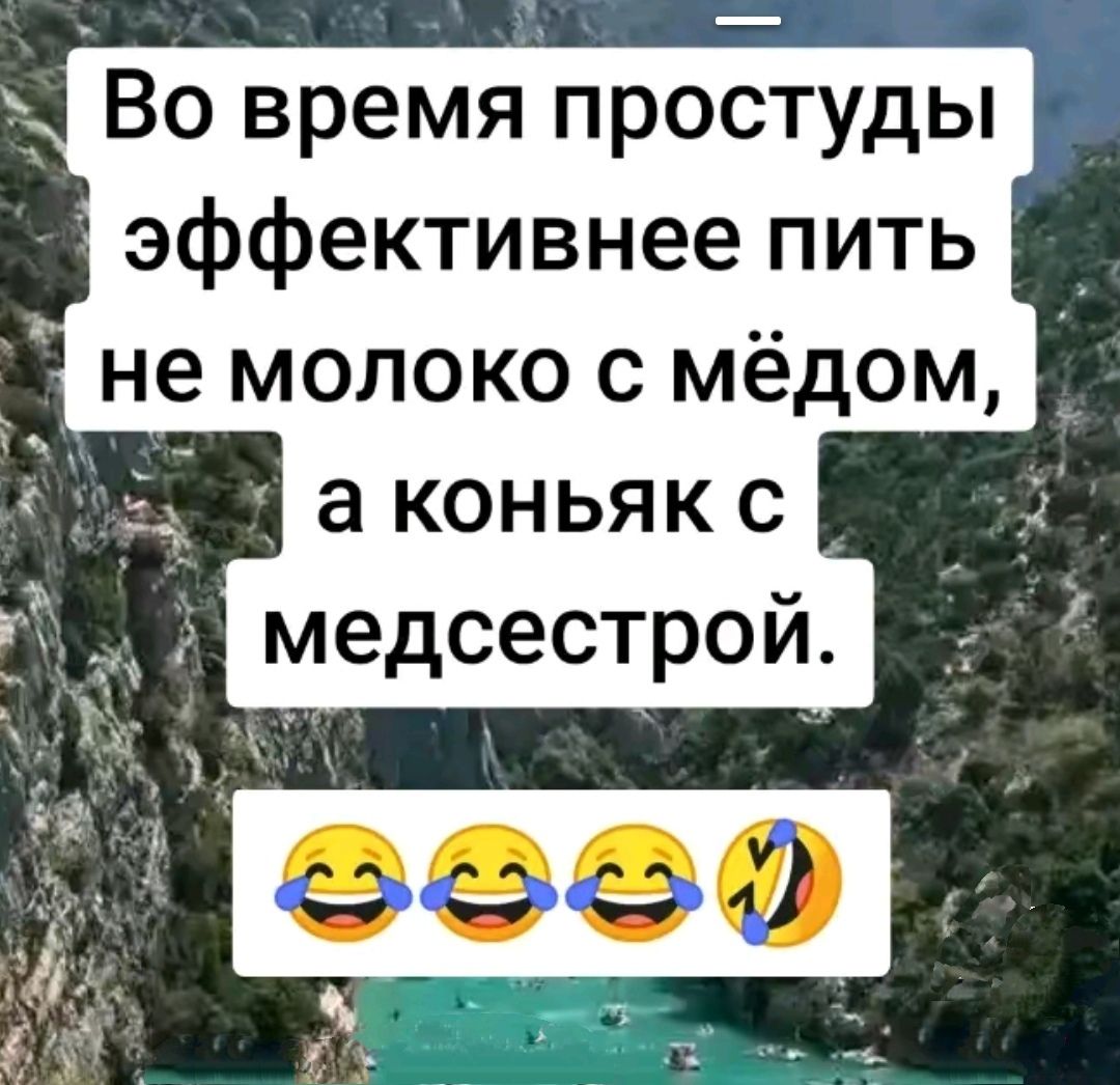 Во время простуды эффективнее пить не молоко с мёдом, а коньяк с медсестрой. 😂😂😂😂🤣